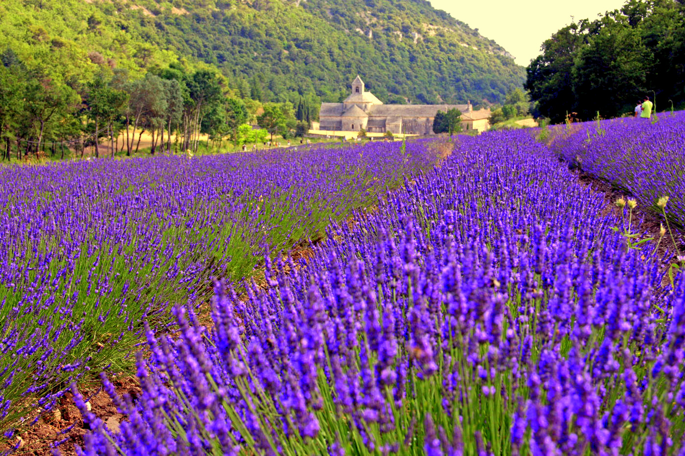 Provence