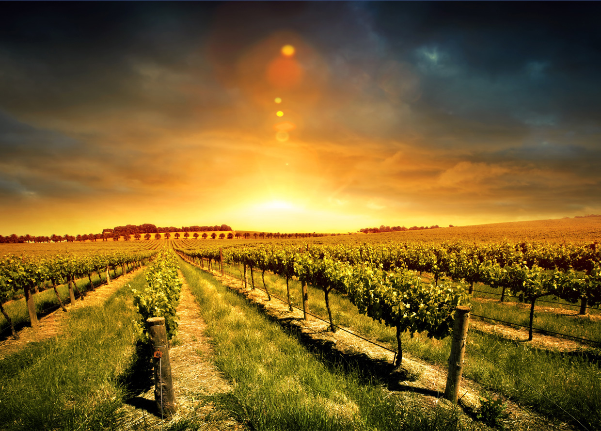 autunno-toscana