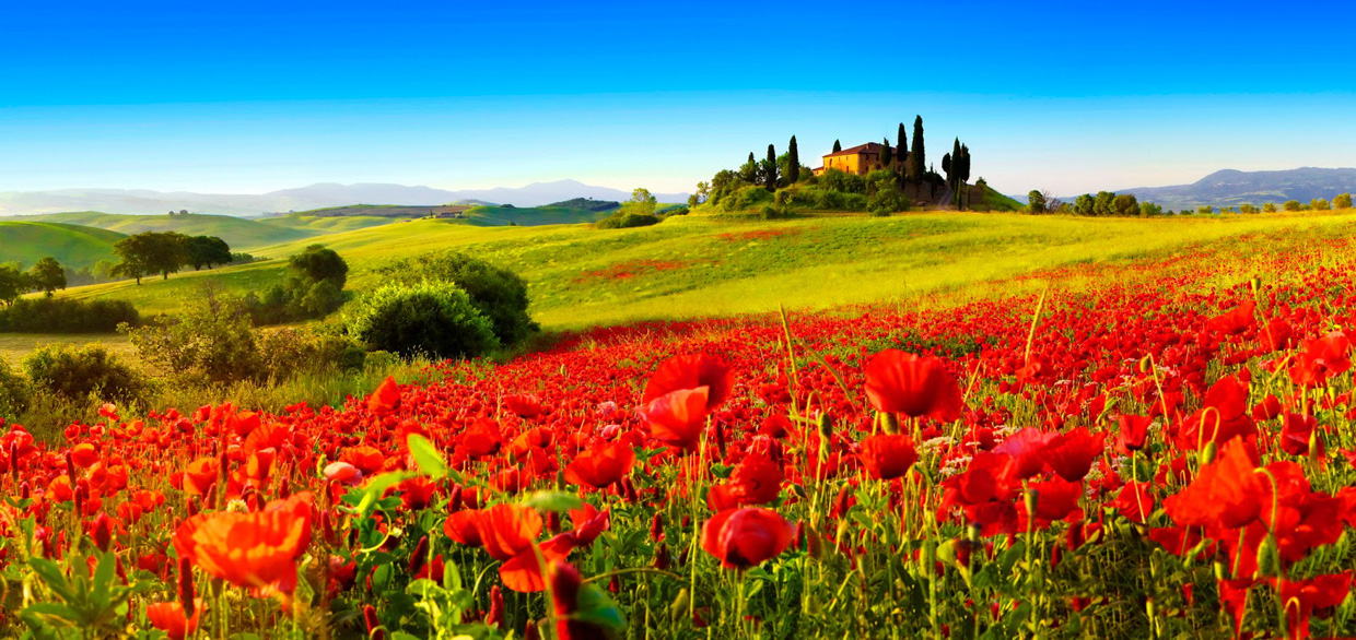 toscana-330975