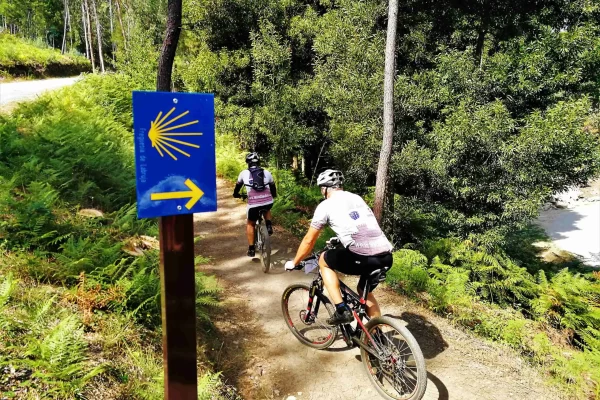 CENTRAL-CAMINO-PGW-16-scaled