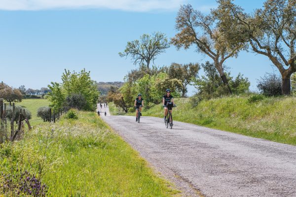 Header_Header-DSC_9460_Edited_FOR-WEB