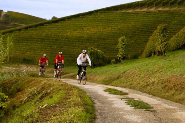 Piemonte-PIEBS_10032010_PHA